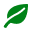 Icon - Grünes Blatt