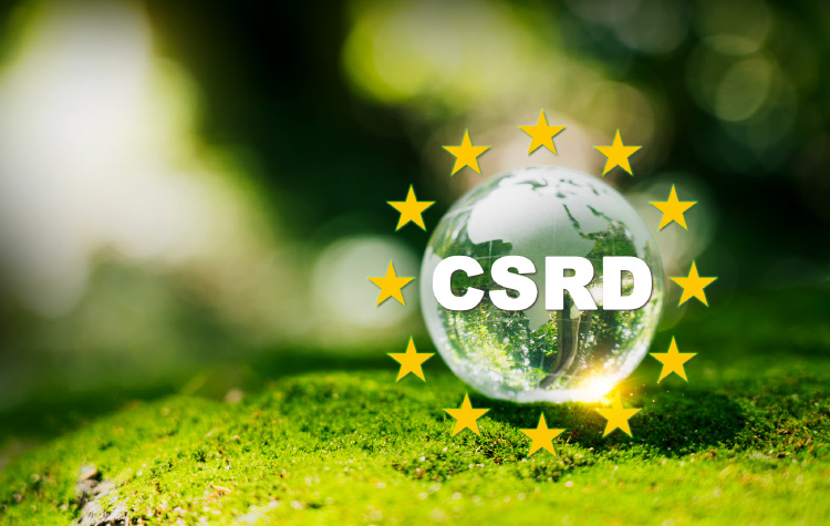 Glaskugel mit CSRD-Beschriftung und Europa-Sternen außenherum
