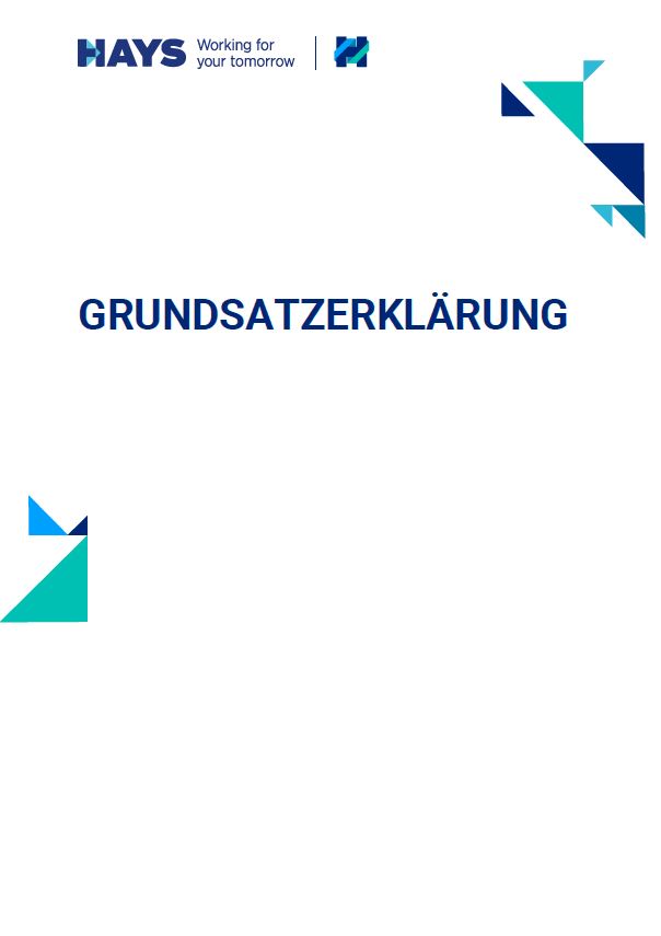 Hays Grundsatzerklärung Cover