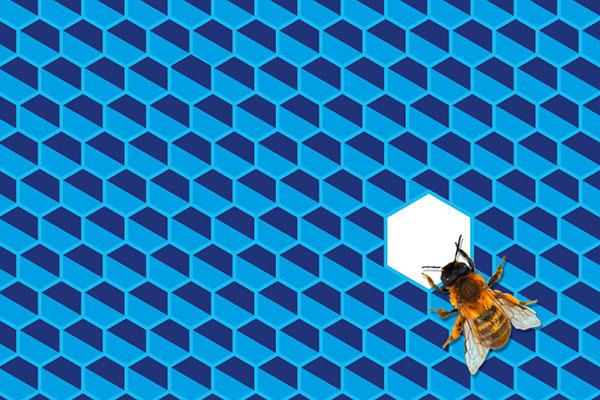 Blaue Bienenwaben mit einer Biene
